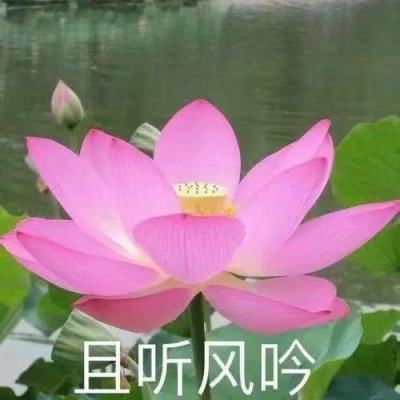 糖水三国果盘版下载