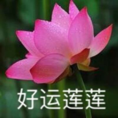 云上城之歌渠道版本下载